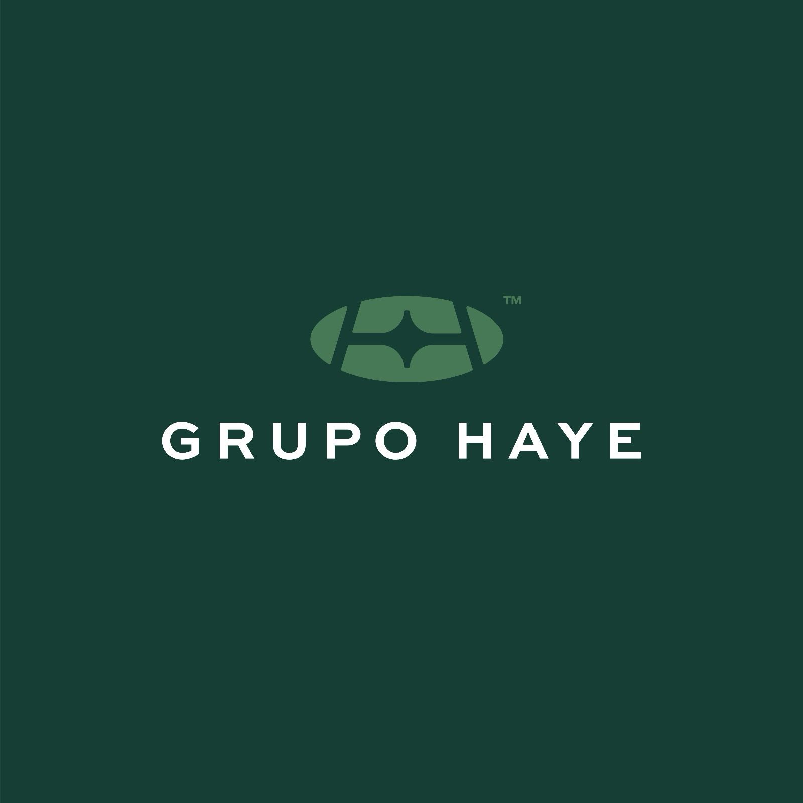 logo Icon